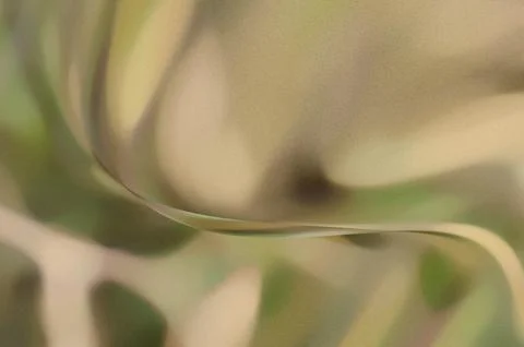 Bright summer bokeh background with blurred light patterns with smooth curv.. Illustrazione stock