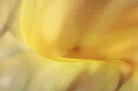 Bright summer bokeh background with blurred light patterns with smooth curv.. Illustrazione stock