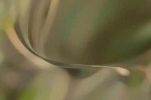 Bright summer bokeh background with blurred light patterns with smooth curv.. Illustrazione stock