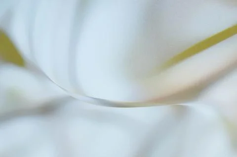 Bright summer bokeh background with blurred light patterns with smooth curv.. 스톡 일러스트