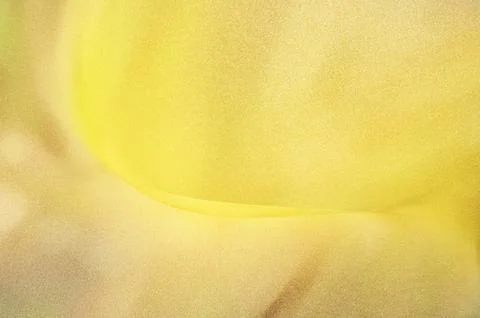Bright summer bokeh background with blurred light patterns with smooth curv.. Illustrazione stock