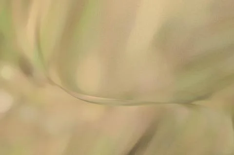 Bright summer bokeh background with blurred light patterns with smooth curv.. Stock Illustration