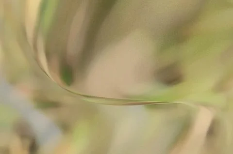 Bright summer bokeh background with blurred light patterns with smooth curv.. 스톡 일러스트