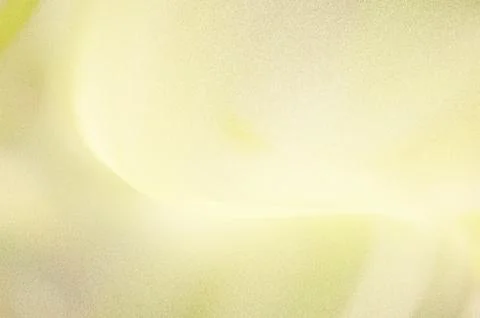 Bright summer bokeh background with blurred light patterns with smooth curv.. Stock Illustration