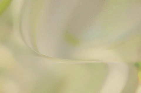 Bright summer bokeh background with blurred light patterns with smooth curv.. Illustrazione stock