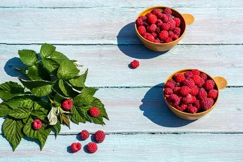Bright summer concept of rustic style breakfast in nature. Ripe raspberries Stock Photos