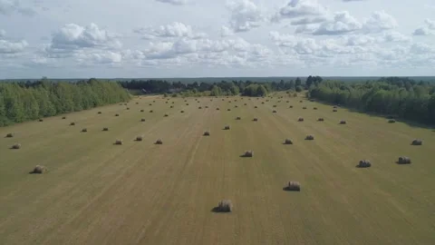 On a bright summer day, a drone flies over a meadow with hay baled. Neatly Stock Footage 169581947