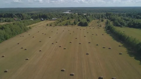 On a bright summer day, a drone flies over a farm with a meadow baled with hay Stock Footage 169582150