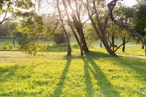 Bright summer evening Stock Photos