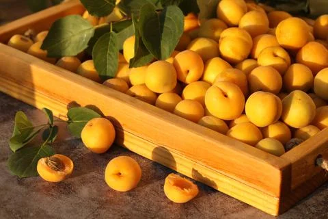 Bright summer orange apricots on the table Stock Photos