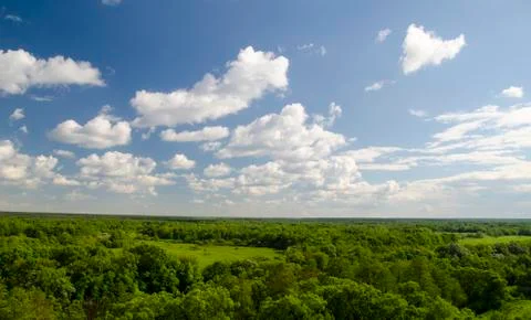 Bright summer sky with white clouds over green forest Foto stock