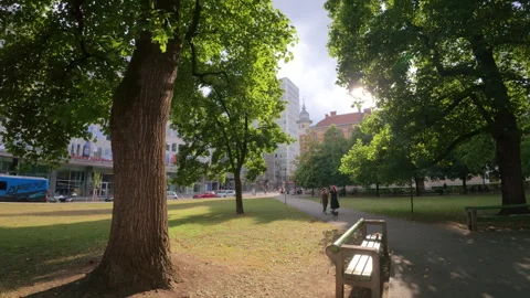 Bright summer sun shining through green tree leaves in urban park in Ljubljana 库存影片 346154455