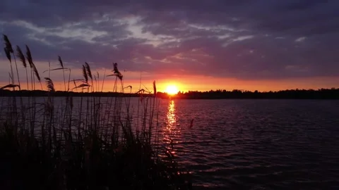 Bright Summer Sunset over the River. Flying with Drone. Stock Footage 155785184