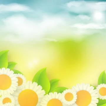 Bright summer vector background Stock Illustration