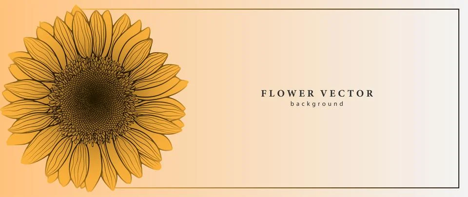 Bright summer vector background with yellow sunflower flower. Stock Illustration