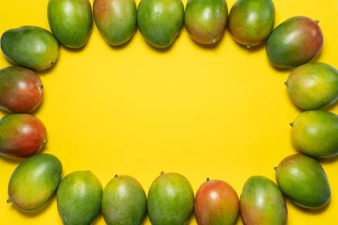Bright summer yellow fruit background, ripe fresh mango frame and text space. Stock Photos