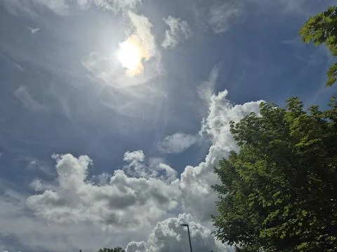 Bright sun and clouds in blue sky over trees Stock Photos