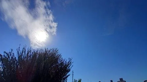 Bright Sun and Clouds Over Treetops 스톡 사진