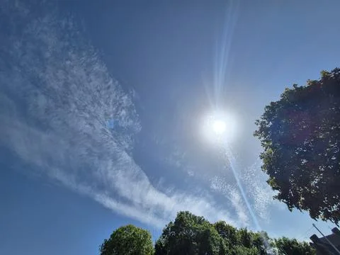 Bright sun and wispy clouds over treetops Stock Photos