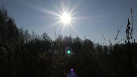 Bright sun with clearly visible rays in the blue sky in late autumn Stock Footage 164362653