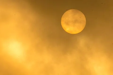 Bright sun covered with clouds in forest Stock-Fotos