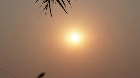 Bright Sun Stock-Footage 333924519