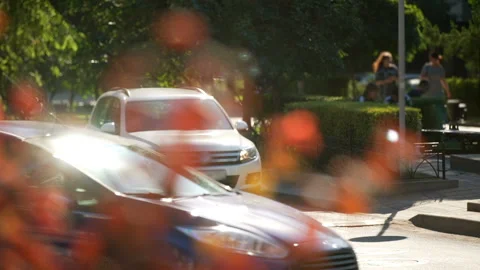 Bright sun glare reflected from the surface of passing cars through tree branch Stock Footage 119494548