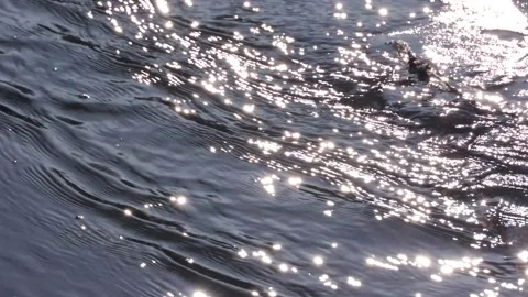 Bright sun glare shines on the surface of a fast babbling river with melting ice Stock Footage 301681031