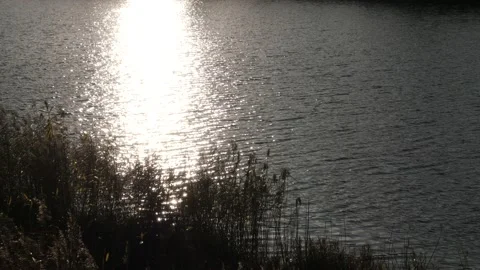 Bright sun glare on the water surface Stock Footage 164834612