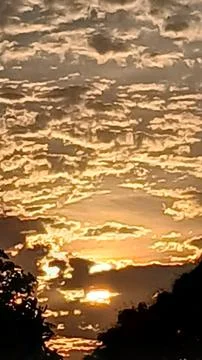 Bright Sun Glaring Through Textured Cloud Layer and Trees 스톡 사진