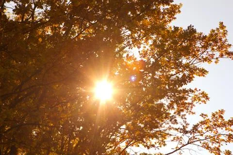 Bright sun light Stock Photos