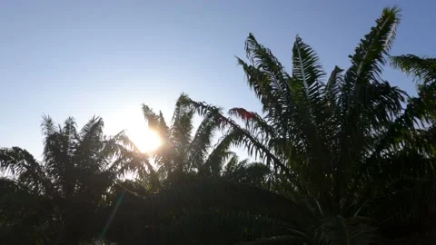 Bright sun light ray flare n sunbeam shining on sunrise blue sky Video stock 148543853