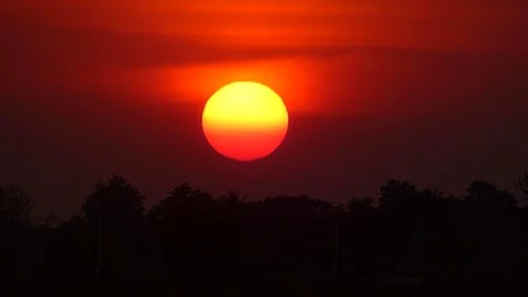 The bright sun in the morning. Stock Footage 83916038