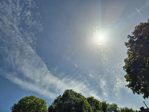Bright sun over wispy clouds above treetops Stock Photos