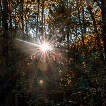 Bright sun peaking Stock Photos