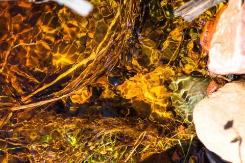 Bright sun rays are reflected in the flowing water and betray its brilliance. Stock Photos