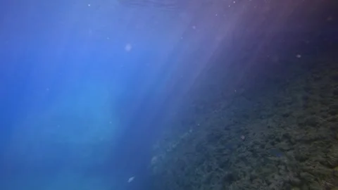 Bright sun rays in blue water, camera moving forwards underwater along rock Stock Footage 255110407