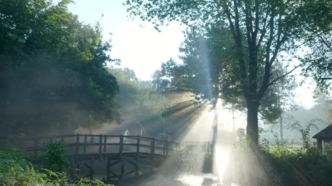 Bright sun rays shining through trees over a misty river and a wooden bridge Stock Footage 320812511