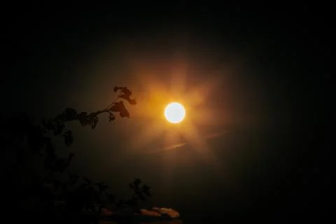 Bright sun with rays shining through dark sky, silhouetted branches in fore.. Stock Photos