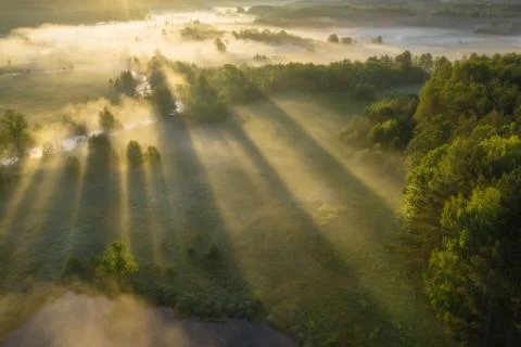 Bright sun rays through trees on misty meadow near river. Scenic spring lands Stock Photos