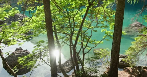 Bright sun reflecting on turquoise alpine lake water Stock Footage 340791663