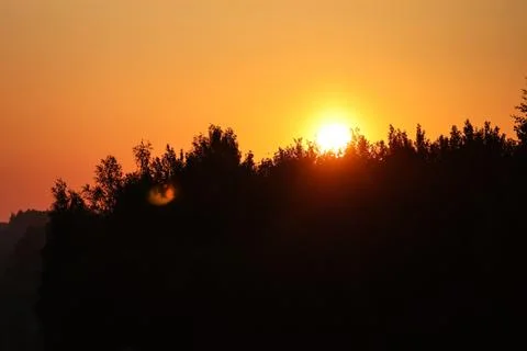 Bright sun rises over the forest Stock Photos
