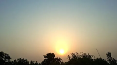 Bright Sun Rising Over Dark Tree Silhouette Vídeo Stock 335486243