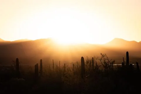 Bright Sun Sets Over Mountains and Saguaro Cactus 库存照片