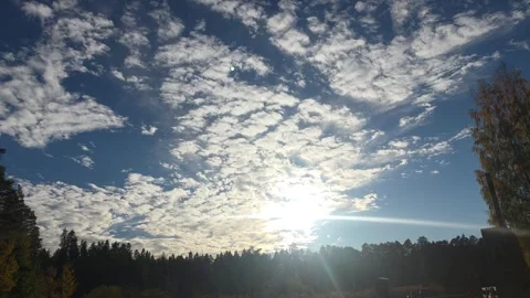 Bright Sun Setting Behind Dark Silhouetted Forest Tree Line Stock Footage 348220611