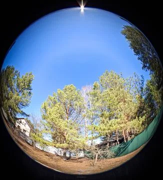 Bright sun shines over pine trees and suburban house with fisheye view of n.. Photos