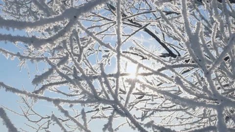 A bright sun shines through the branches of a tree covered with white frost 库存影片 166943801