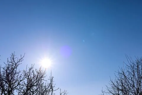 Bright sun shining over bare branches under a clear blue sky creating a ser.. Stock Photos