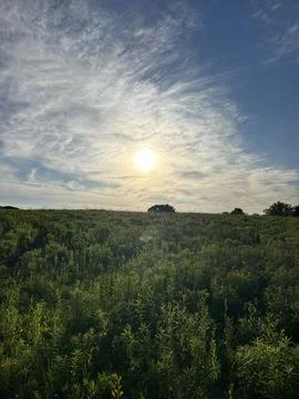 Bright sun shining over a vibrant green meadow at sunset. Stock Photos