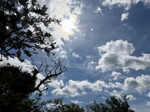 Bright sun shining through clouds and tree branches Stock-Fotos